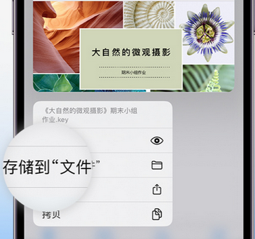 南县apple维修中心分享iPhone文件应用中存储和找到下载文件