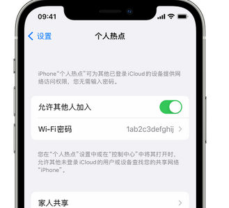 南县apple服务站点分享iPhone上个人热点丢失了怎么办