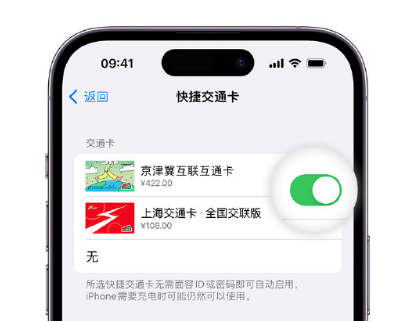 南县apple维修点分享iPhone上更换Apple Pay快捷交通卡手绘卡面 