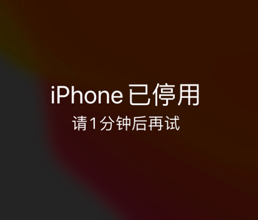 南县苹果手机维修分享:iPhone 显示“不可用”或“已停用”怎么办？还能保留数据吗？ 