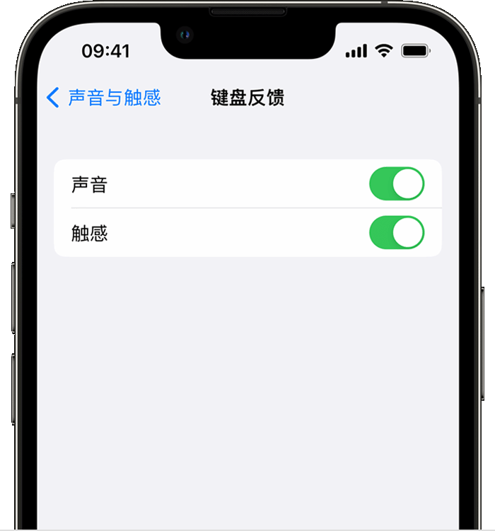 南县苹果14维修店分享如何在 iPhone 14 机型中使用触感键盘 