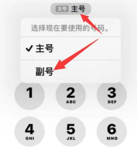 南县苹果14维修店分享iPhone 14 Pro Max使用副卡打电话的方法 