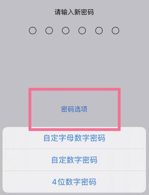 南县苹果14维修分享iPhone 14plus设置密码的方法 