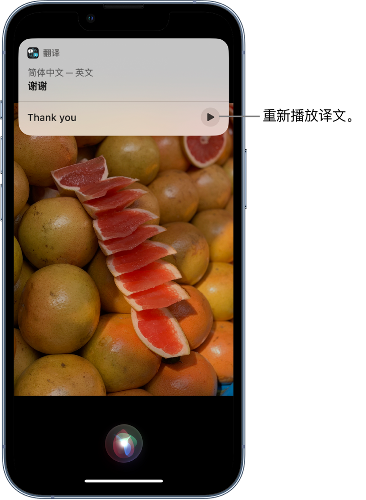 南县苹果14维修分享 iPhone 14 机型中使用 Siri：了解 Siri 能帮你做什么 