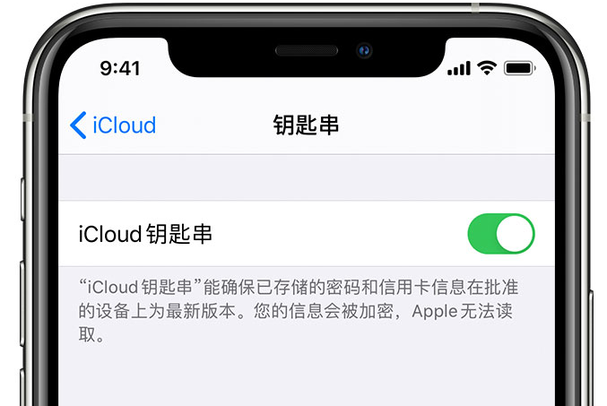 南县苹果手机维修分享在 iPhone 上开启 iCloud 钥匙串之后会储存哪些信息 