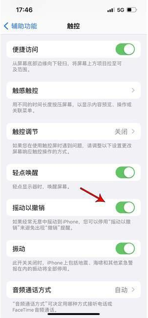 南县苹果手机维修分享iPhone手机如何设置摇一摇删除文字 