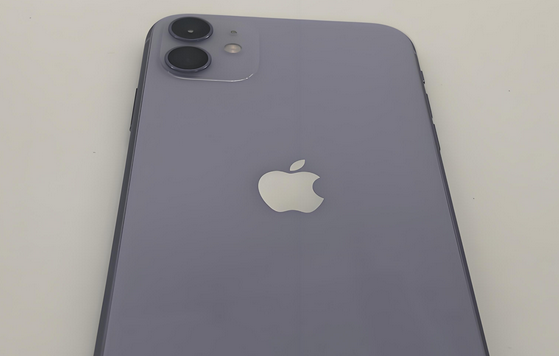 南县苹果11系统维修分享iPhone11手机系统崩溃无法开机如何解决 